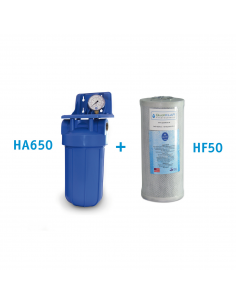 Set Hauswasserfilter BigBlue mit Aktivkohlefilter HF50