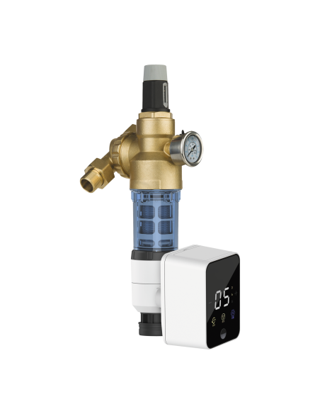 Wasserfilter mit automatische Rückspülung
